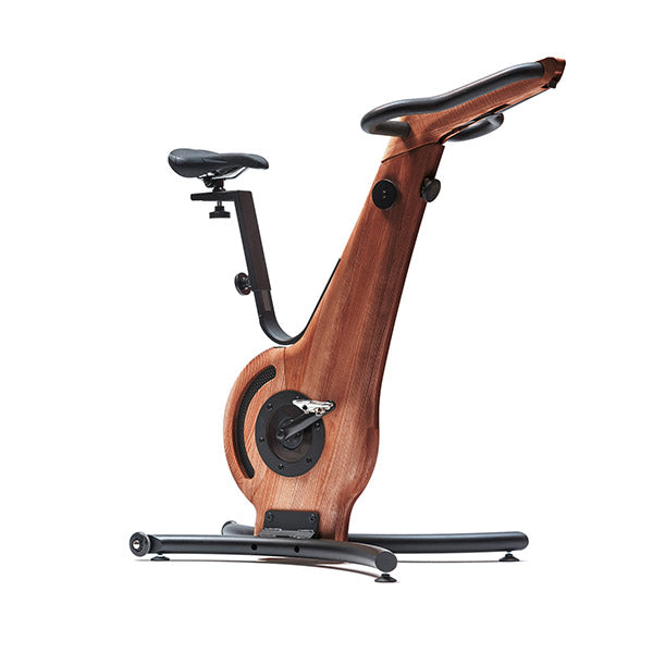 NOHrD Luxury Indoor Exercise Bike