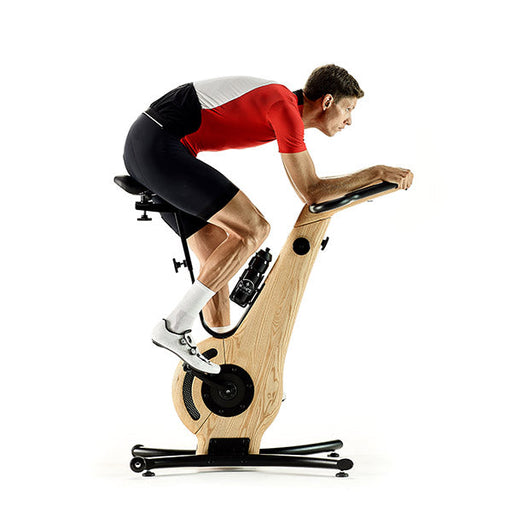 NOHrD Luxury Indoor Exercise Bike