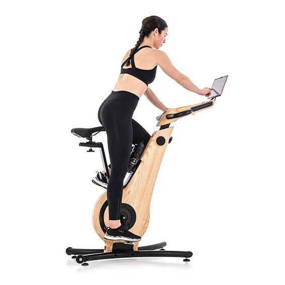 NOHrD Luxury Indoor Exercise Bike