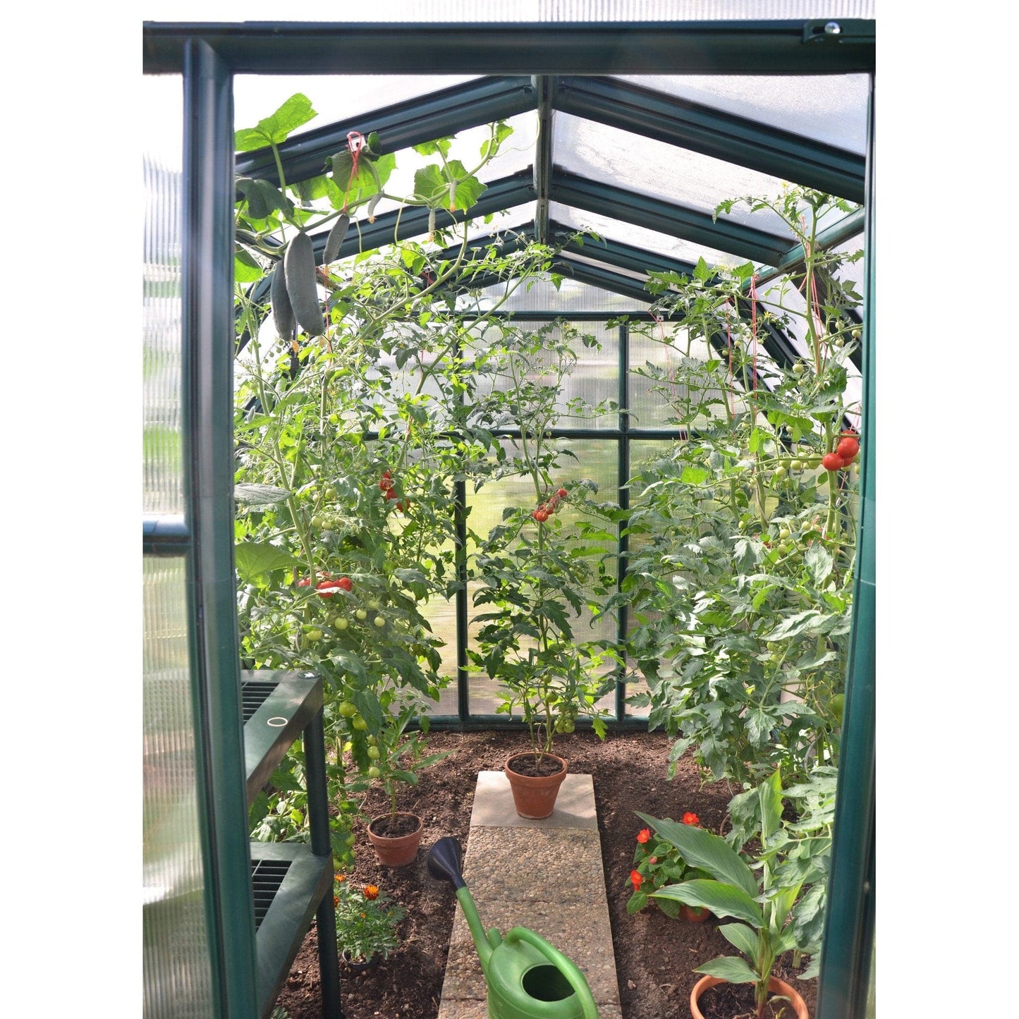 Palram - Canopia | EcoGrow Greenhouse Kit - 6 Ft Wide - Green With 6mm Twin-wall Polycarbonate Glazing - HG7006