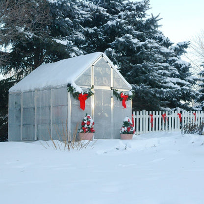 Palram - Canopia | Snap & Grow Greenhouse Kit - 6ft Wide - Silver With 0.8mm Polycarbonate Glazing - HG6008