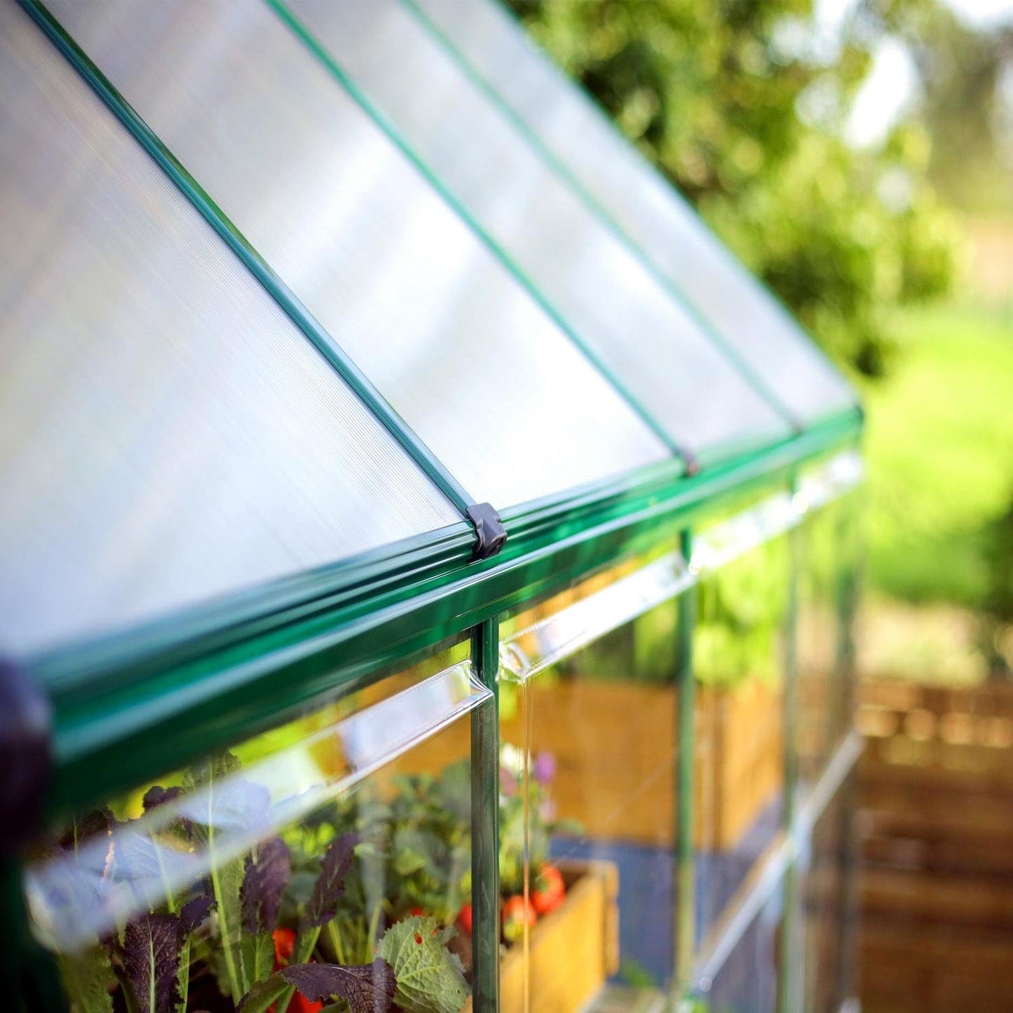 Palram - Canopia | 6x10 Ft Hybrid Greenhouse Kit - Green With 0.8mm Polycarbonate Glazing - HG5510G