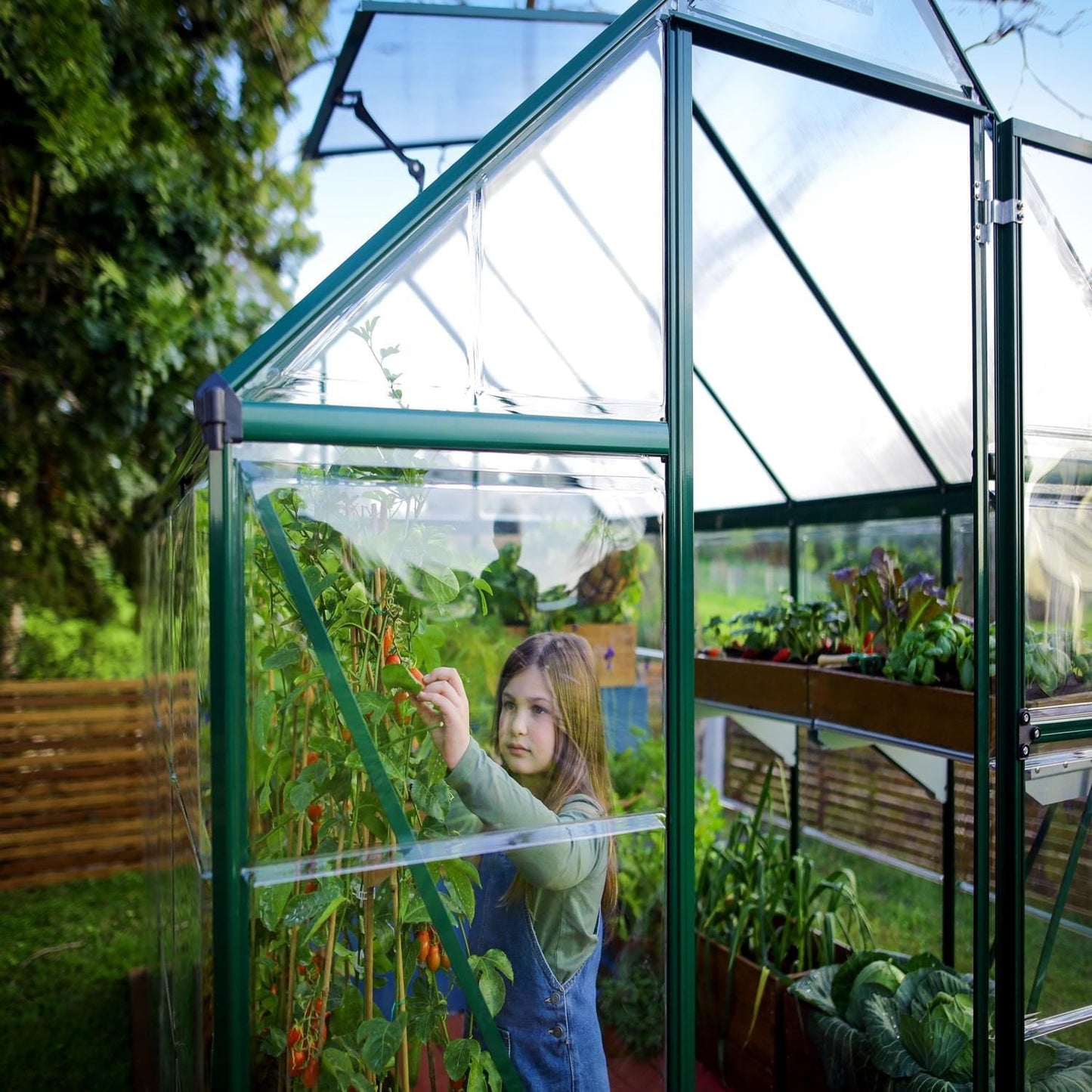 Palram - Canopia | 6x10 Ft Hybrid Greenhouse Kit - Green With 0.8mm Polycarbonate Glazing - HG5510G