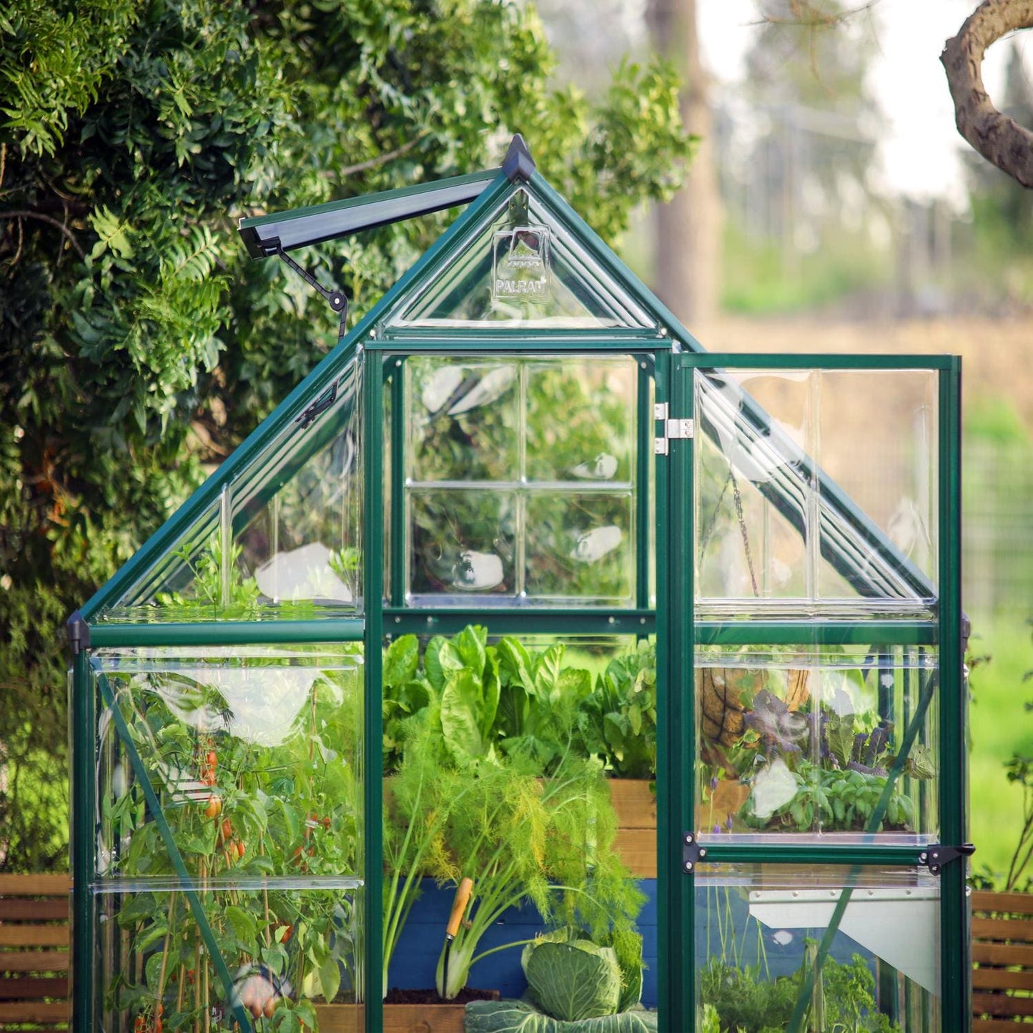 Palram - Canopia | 6x10 Ft Hybrid Greenhouse Kit - Green With 0.8mm Polycarbonate Glazing - HG5510G