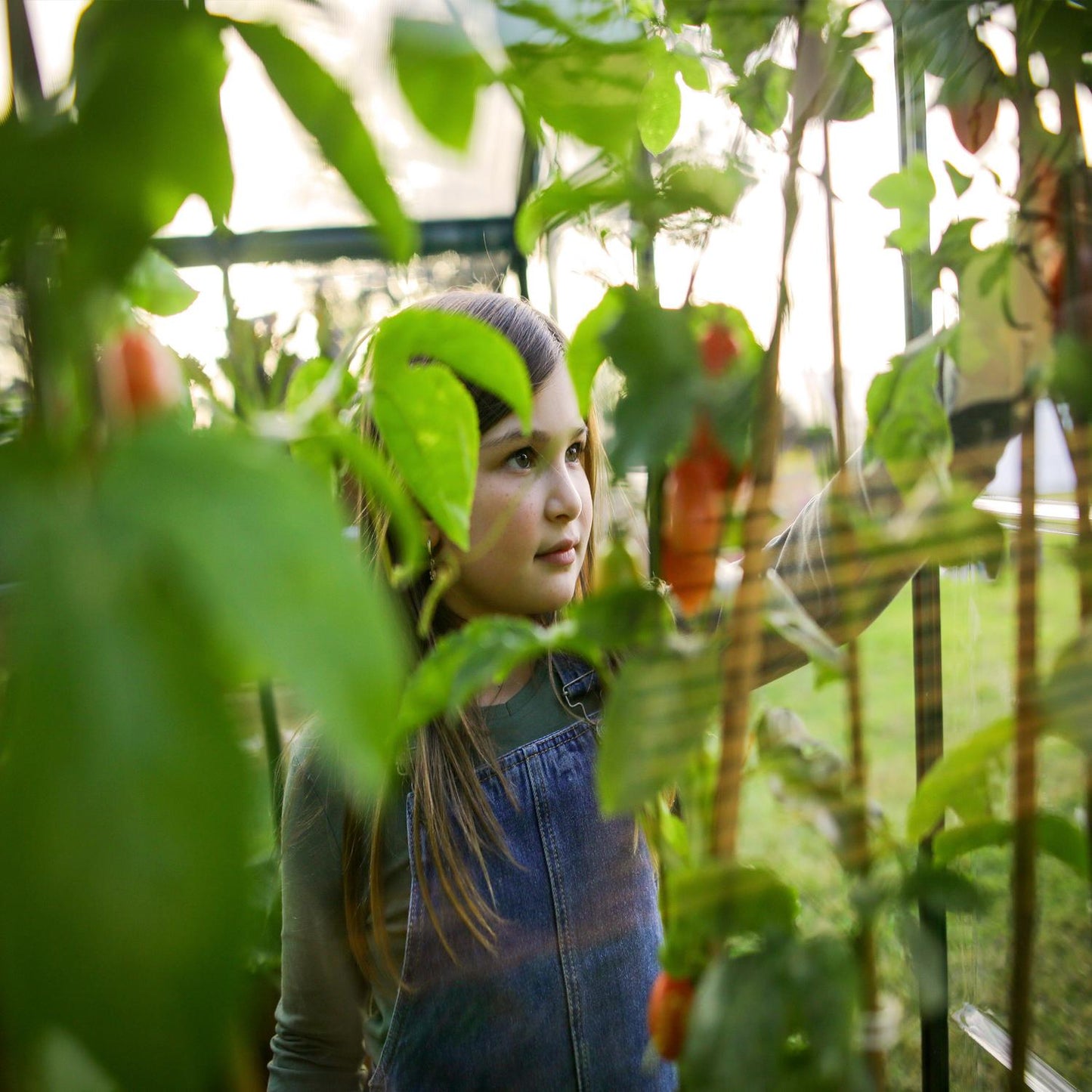 Palram - Canopia | 6x10 Ft Hybrid Greenhouse Kit - Green With 0.8mm Polycarbonate Glazing - HG5510G