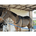 Oxford Medical Instruments OMI PEMF Horse Blanket