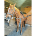 Oxford Medical Instruments OMI PEMF Full Equine Package: Blanket, Shoulder Band, Neck Wrap, Rear Leg Wrap, Front Leg Wrap