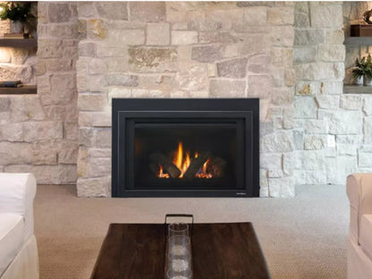 Provident Insert 30" - Heat & Glo Fireplace Insert - PROV-I30-IPI