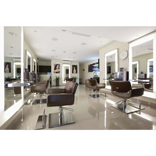 Salon Ambience Quadro Styling Chair