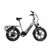 Rattan Quercus 48V/20AH 750W Fat Tire Electric Bike