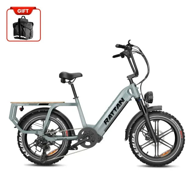 Rattan Quercus 48V/20AH 750W Fat Tire Electric Bike