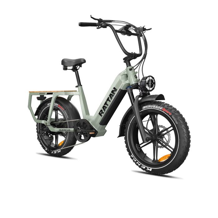 Rattan Quercus 48V/20AH 750W Fat Tire Electric Bike