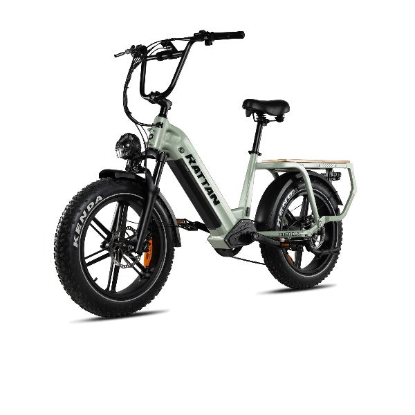 Rattan Quercus 48V/20AH 750W Fat Tire Electric Bike