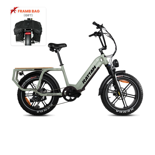 Rattan Quercus 48V/20AH 750W Fat Tire Electric Bike