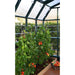 Rion Prestige 2 Series 8' x 8' Greenhouse - HG7308