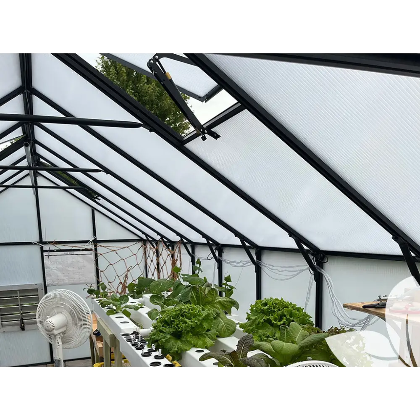 GREE Riverstone Industries MONT Greenhouse Growers - MONT-8-BK-GROWERS