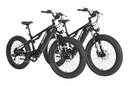 Cyrusher Rover E-Bike Bundle Sale - US-Bundle-Rover-GN+GN