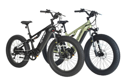 Cyrusher Rover E-Bike Bundle Sale - US-Bundle-Rover-GN+GN