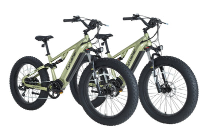 Cyrusher Rover E-Bike Bundle Sale - US-Bundle-Rover-GN+GN