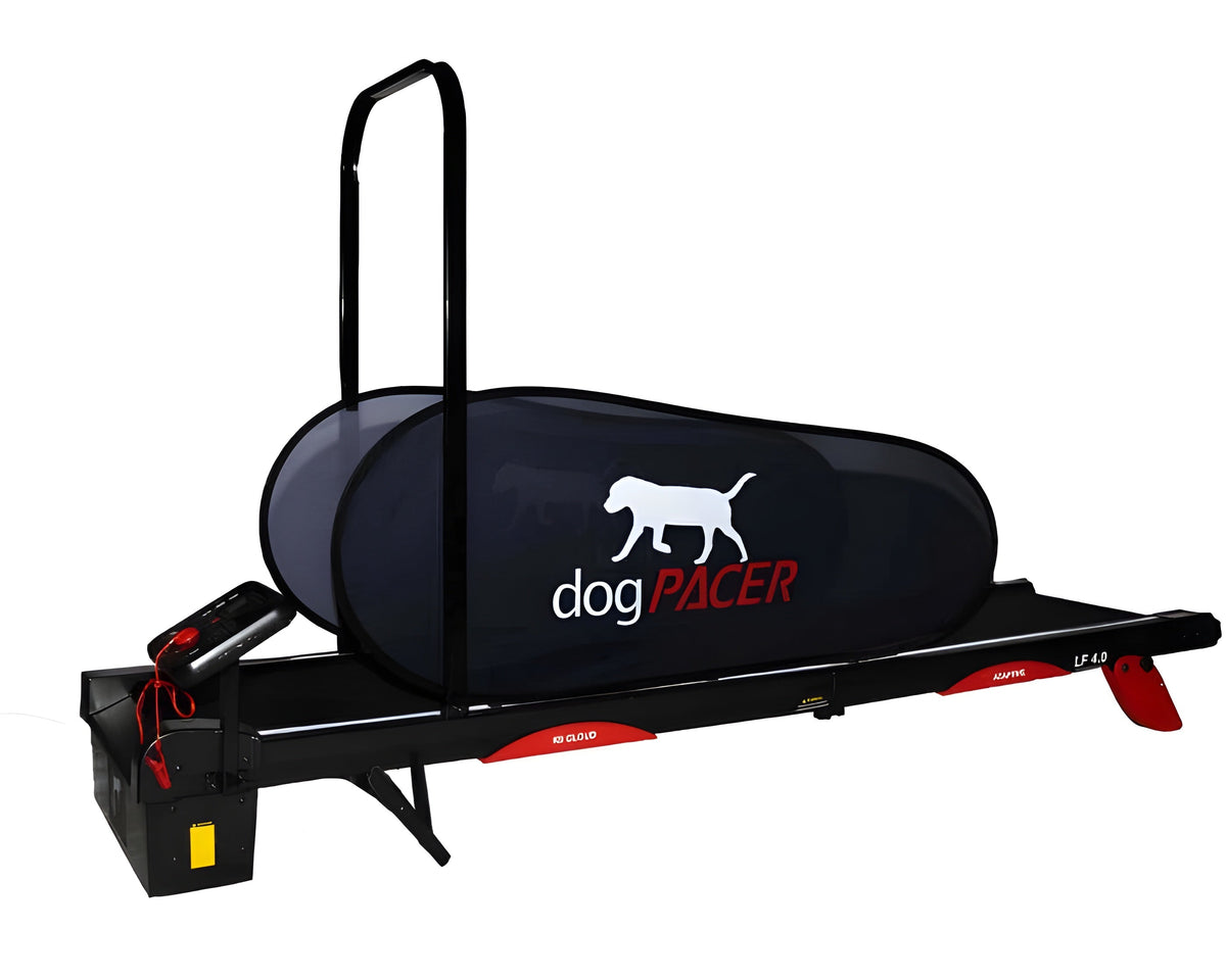 DogPACER Smart Electric Dog Treadmill - DP-4.0