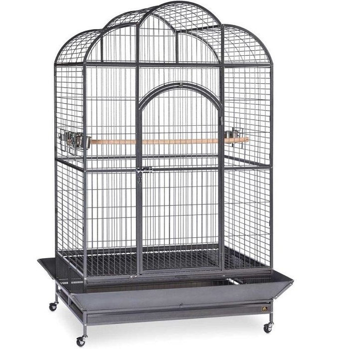 Prevue Pet Wrought Iron Silverado Macaw Dometop Bird Cage - 10703155