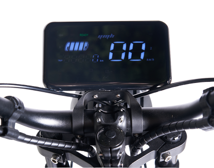 SoverSky Knight /Black Warrior Electric Fat Tire Bike