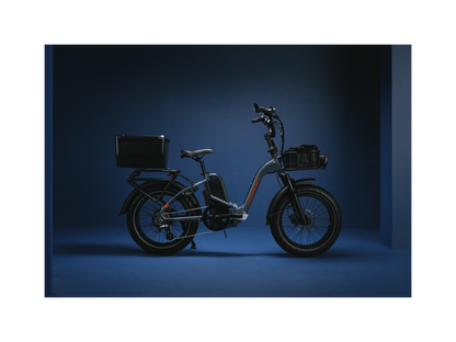 RadExpand™ 5 Plus Electric Folding Bike - 103-00056
