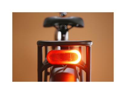 Radster™ Trail Electric Off-Road Bike - 109-00021