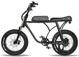 T4B 500W SuperFun Fat Tire Electric Bike - EB-500WSPRFUN