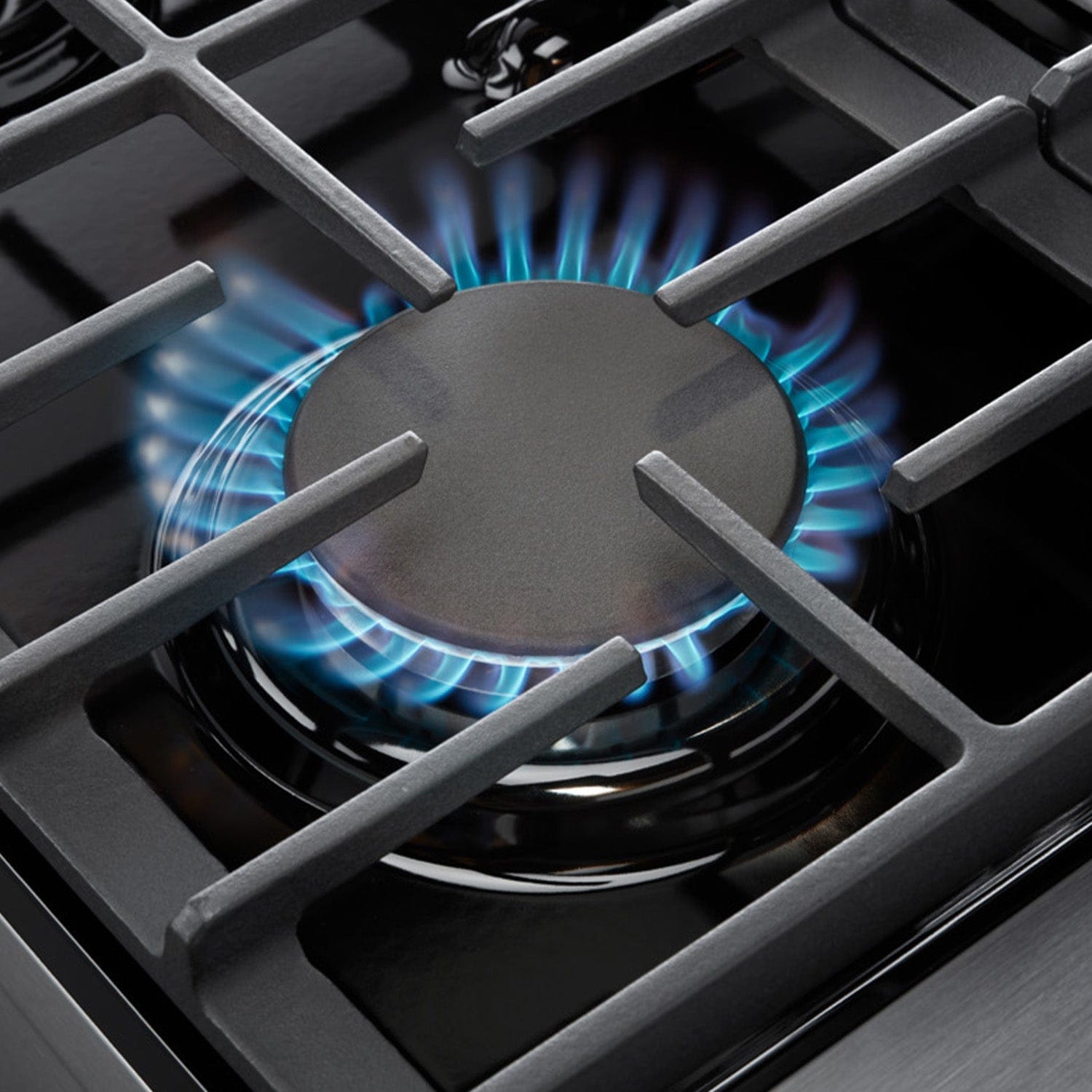 Thor Kitchen 48 in. 6.8 cu. ft. Double Oven Propane Gas Range in Stainless Steel, LRG4807ULP