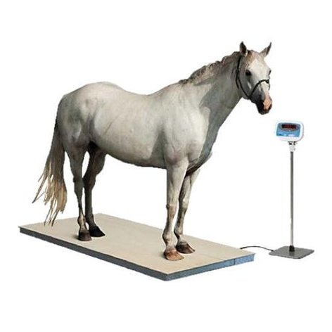 DRE Equine Veterinary Digital Floor Scale - DR-1276