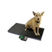 DRE Veterinary Scales - DR-12438