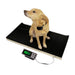 DRE Veterinary Scales - DR-12438