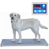 PETLIFT Digital Walk-On Weigh Scale - PL-A16-404ES