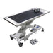 DRE Pannomed EPT Veterinary Mobile Treatment Table with Scale - DR-12705