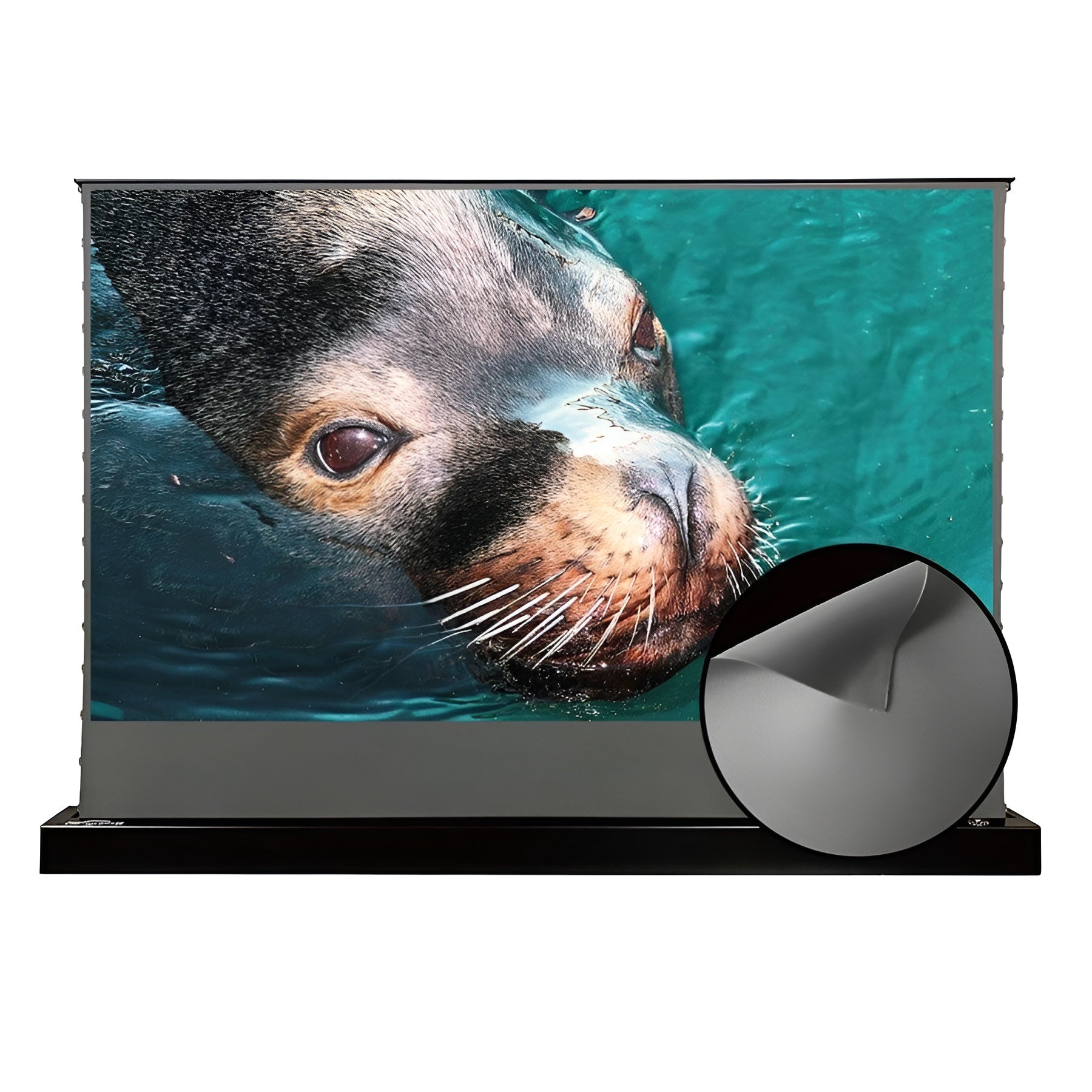 VIVIDSTORM S ALR Perforated Motorized Tension Floor Rising Obsidian Long Throw Projector Screen