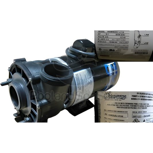 MASTER SPAS Pump 9.8 Amp, 2 Speed, 120V - X320378