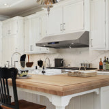 Vinotemp 48" Gas Range Hood, in Stainless Steel - BR-HD48SR
