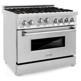 ZLINE 36 in. Professional Gas Burner/Gas Oven Gas in Stainless Steel with Brass Burners, RG-BR-36