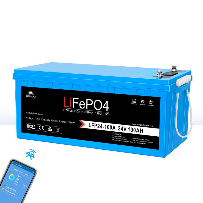 12V 100Ah Pro Deep Cycle Lithium Iron Phosphate Battery self-heating  w/Bluetooth