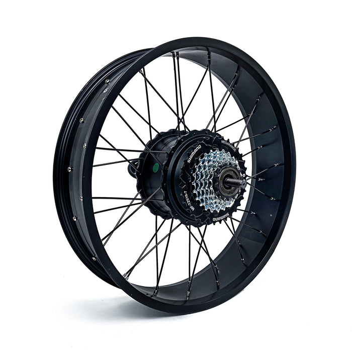 MOTOR FOR COSWHEEL EBIKE - Backyard Provider