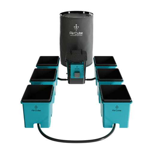 AirCube Active Oxygen Ebb and Flow Grow System - 6 Site - Backyard Provider