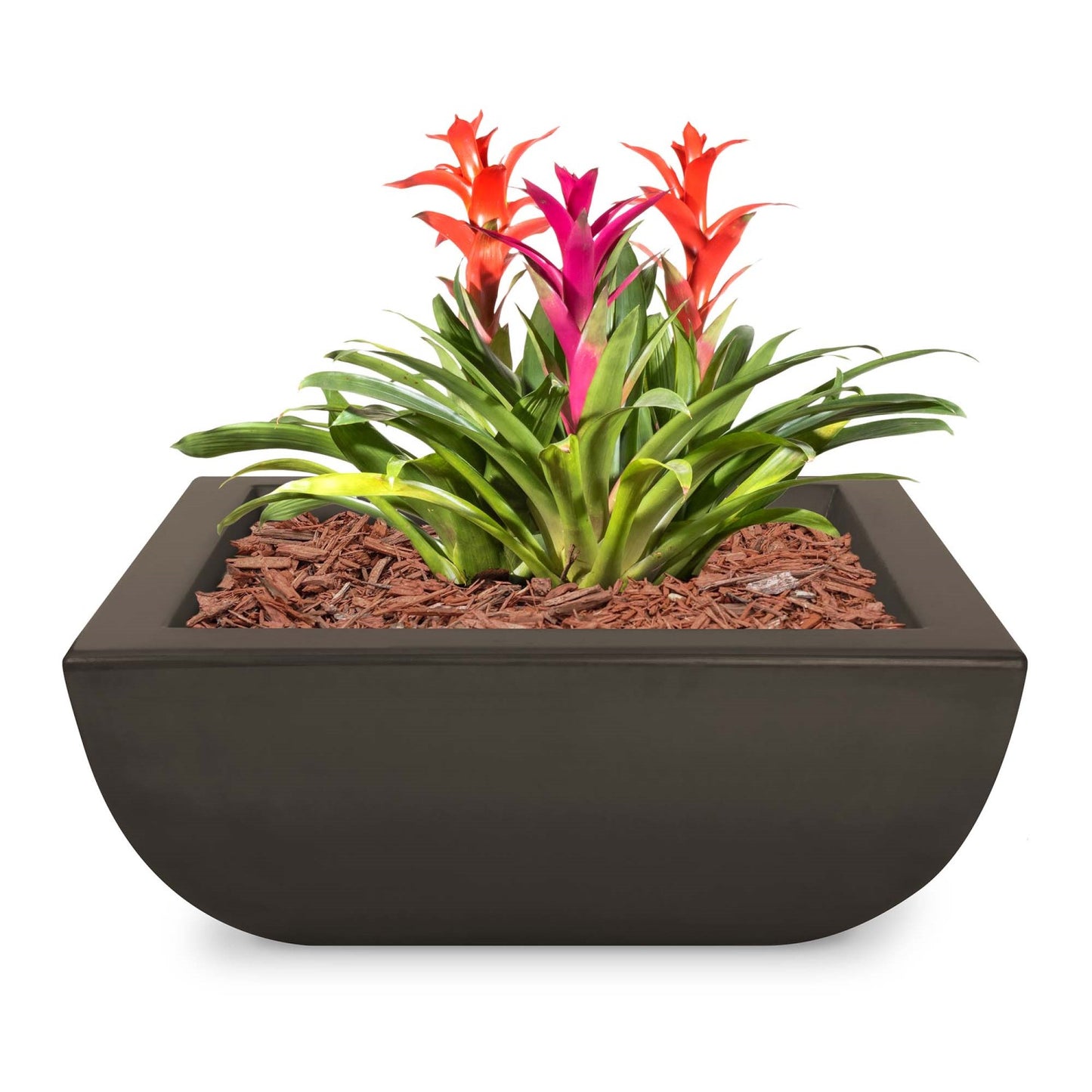Avalon Concrete Planter Bowl - Chocolate
