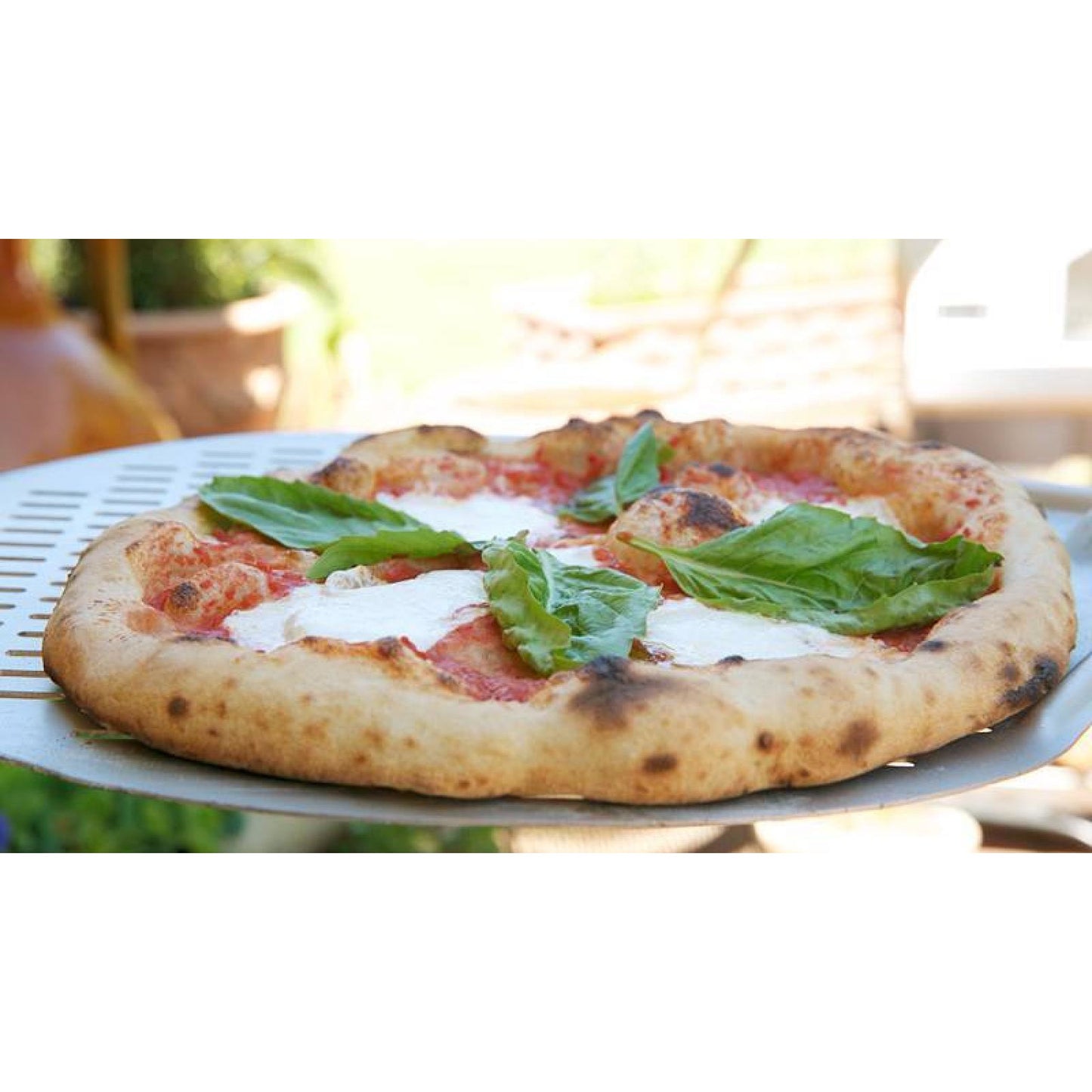 Bull Gas Fired PIzza