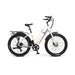 Emojo Panther 500W 48V Step-Through Electric Bike - EBK20-01