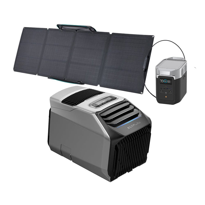 EcoFlow WAVE 2 Portable AC + DELTA 2 + 110W Portable Solar Panel