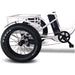 Emojo Caddy 500W 48V Fat Tire Electric Tricycle - EBK12-04