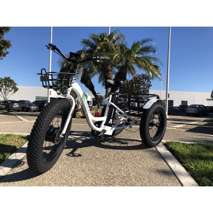 Emojo Caddy 500W 48V Fat Tire Electric Tricycle - EBK12-04