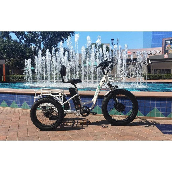 Emojo Caddy Pro 500W 48V Fat Tire Electric Tricycle - EBK12-02