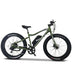Emojo Wildcat Pro 48V 500W or 750W Electric Mountain Bike - EBK18-02